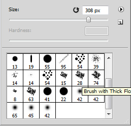 Selecting a brush to paint your own masks for Album DS